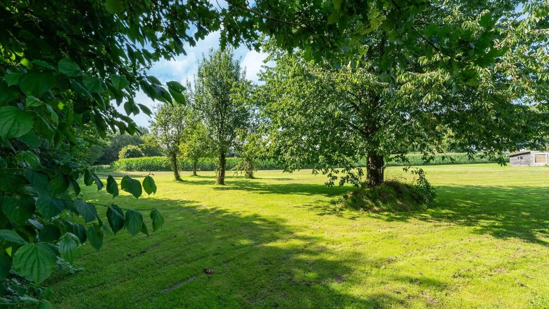 Cozy Holiday Home In Limburg With A Beautiful View Schinnen